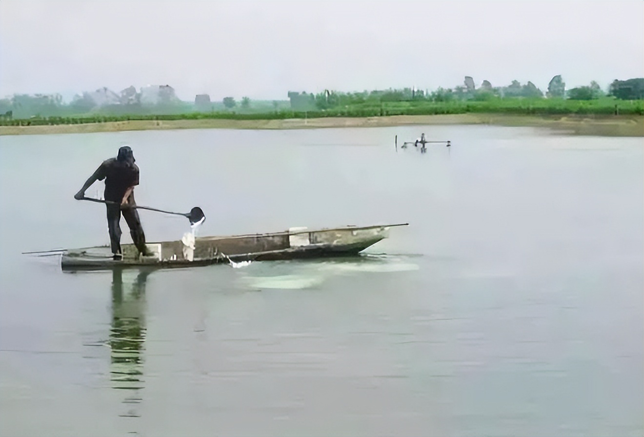 鱼病防治怎样做到精准施药,鱼病防治用什么药