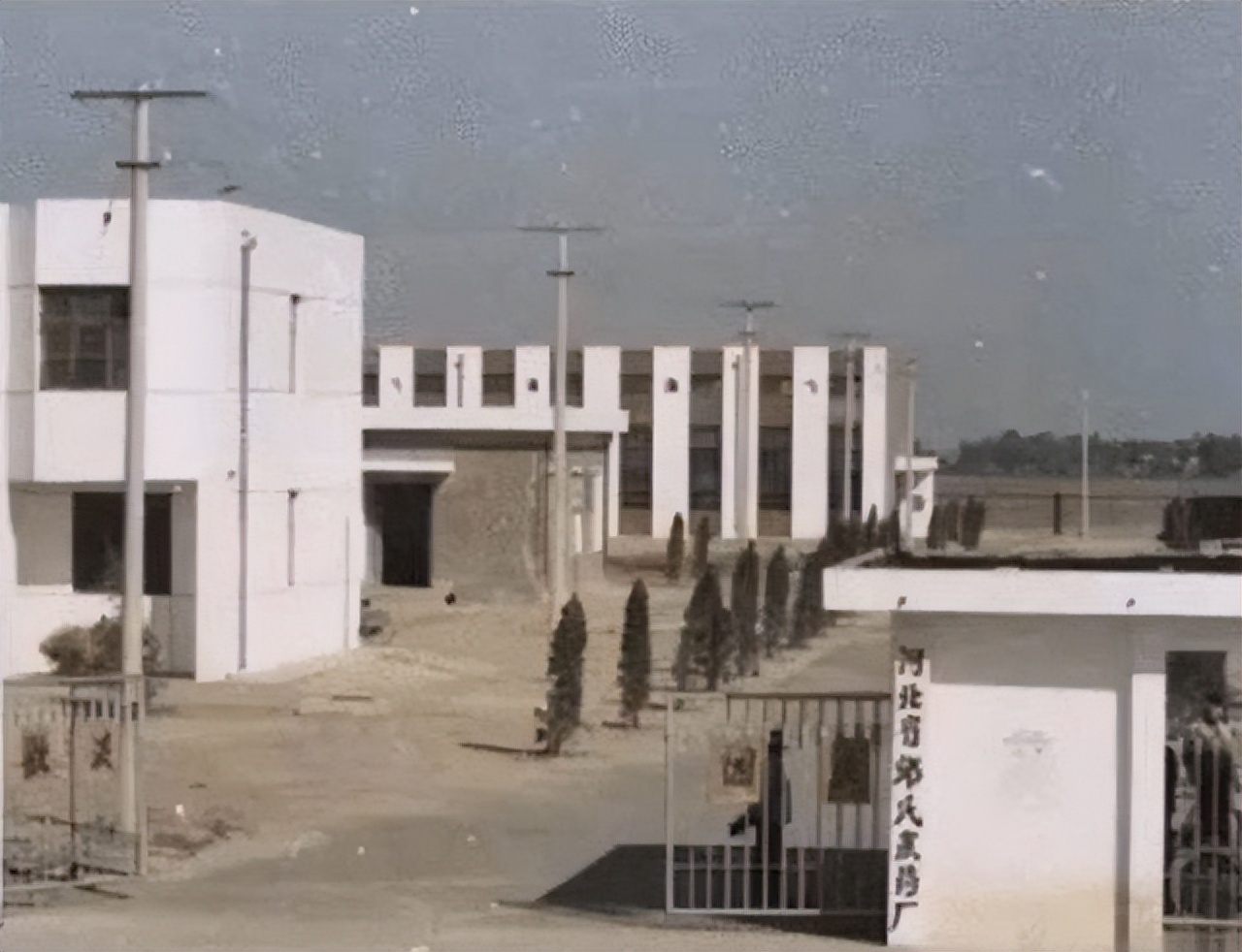 灭鼠大王邱满囤为什么不交秘方,灭鼠大王邱满囤5位专家