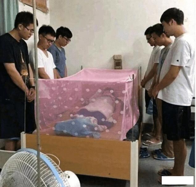 买了一个蚊帐先让室友试试,新买的蚊帐让室友先试试