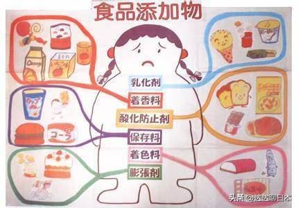 为什么日本不允许食品添加剂,日本食品添加剂的真相