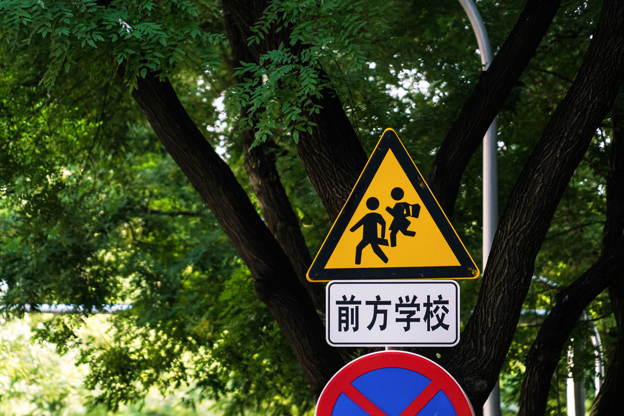 亏30万卖顶层,亏本14万卖了一套老破小学区房