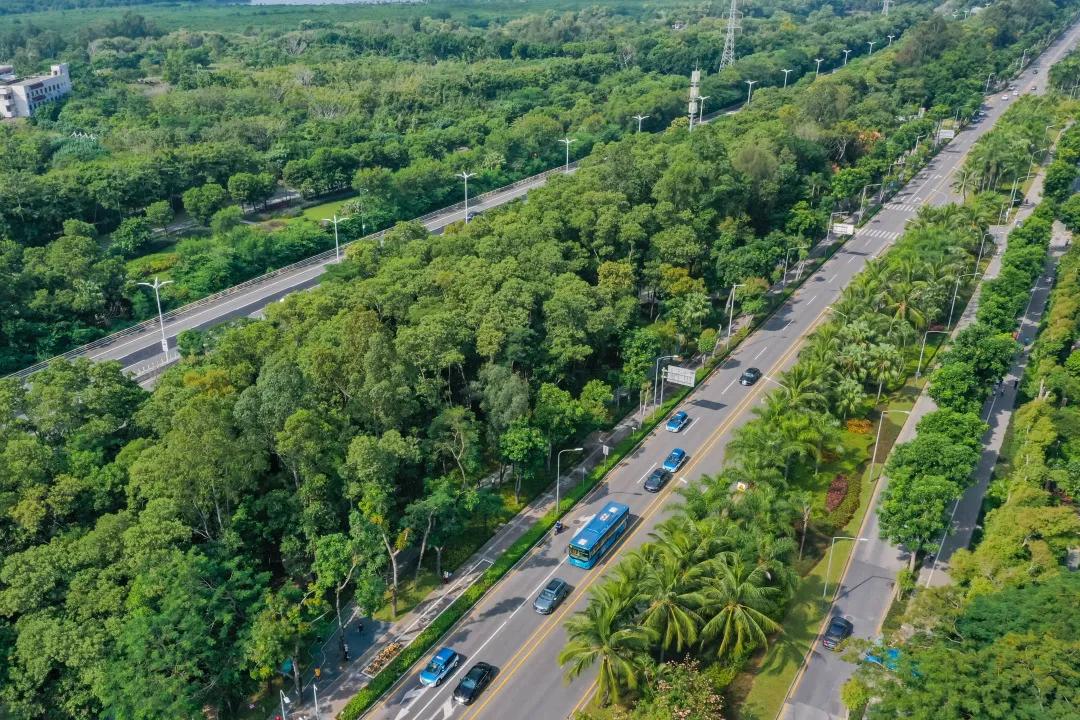 福田六个先行示范城市,福田先行示范区建设方案