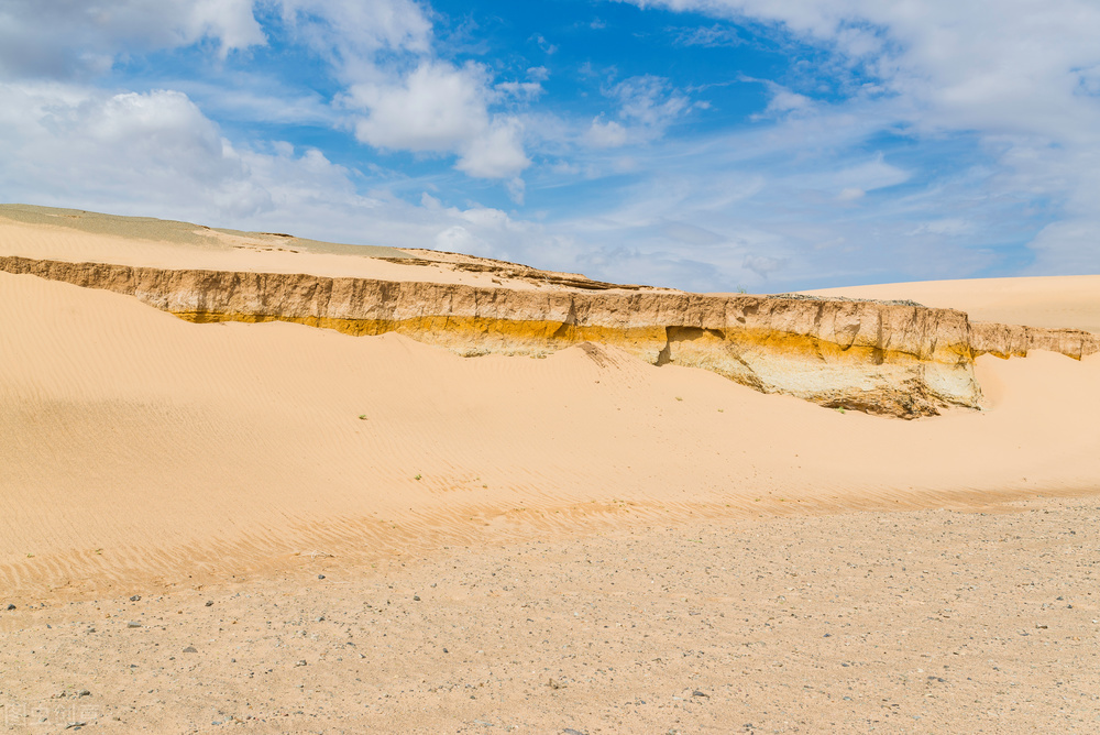 满分作文花开不只在春天,高考满分作文800字花开不只在春天