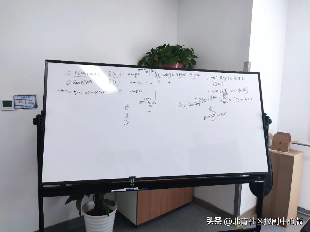 甘李药业陈伟,副中心科技