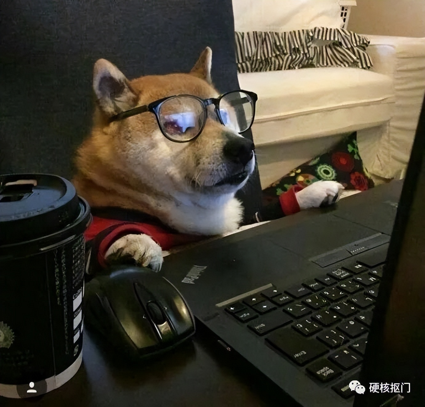 超轻薄小笔记本电脑推荐2024,笔记本电脑五千左右推荐轻薄本