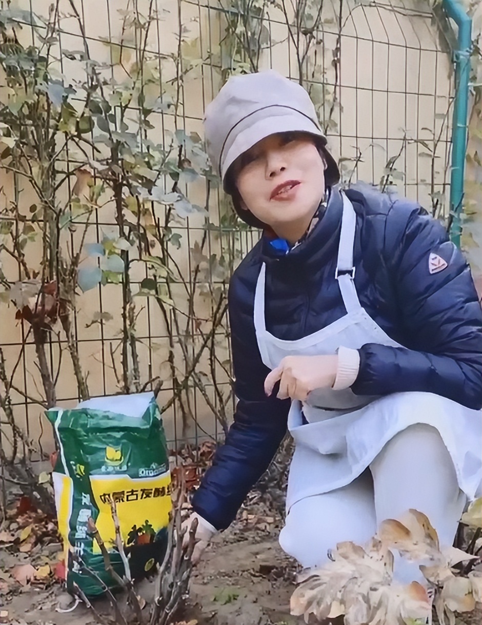 徐俐：变身农村大妈，对小花园进行冬季“修剪施肥保温”养护管理