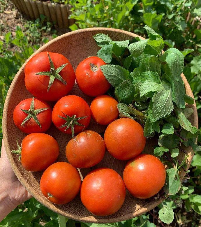 日军日记：*安妇慰**不服从管教，我很愤怒，用*刀刺**插入她的*体下**