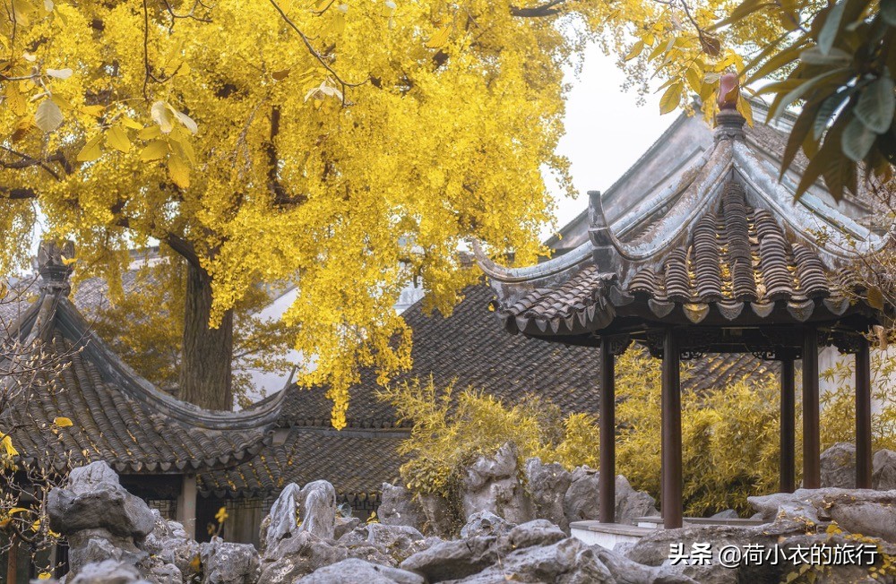 慢逛苏州15个小众景点,给大家介绍一个苏州的小众景点