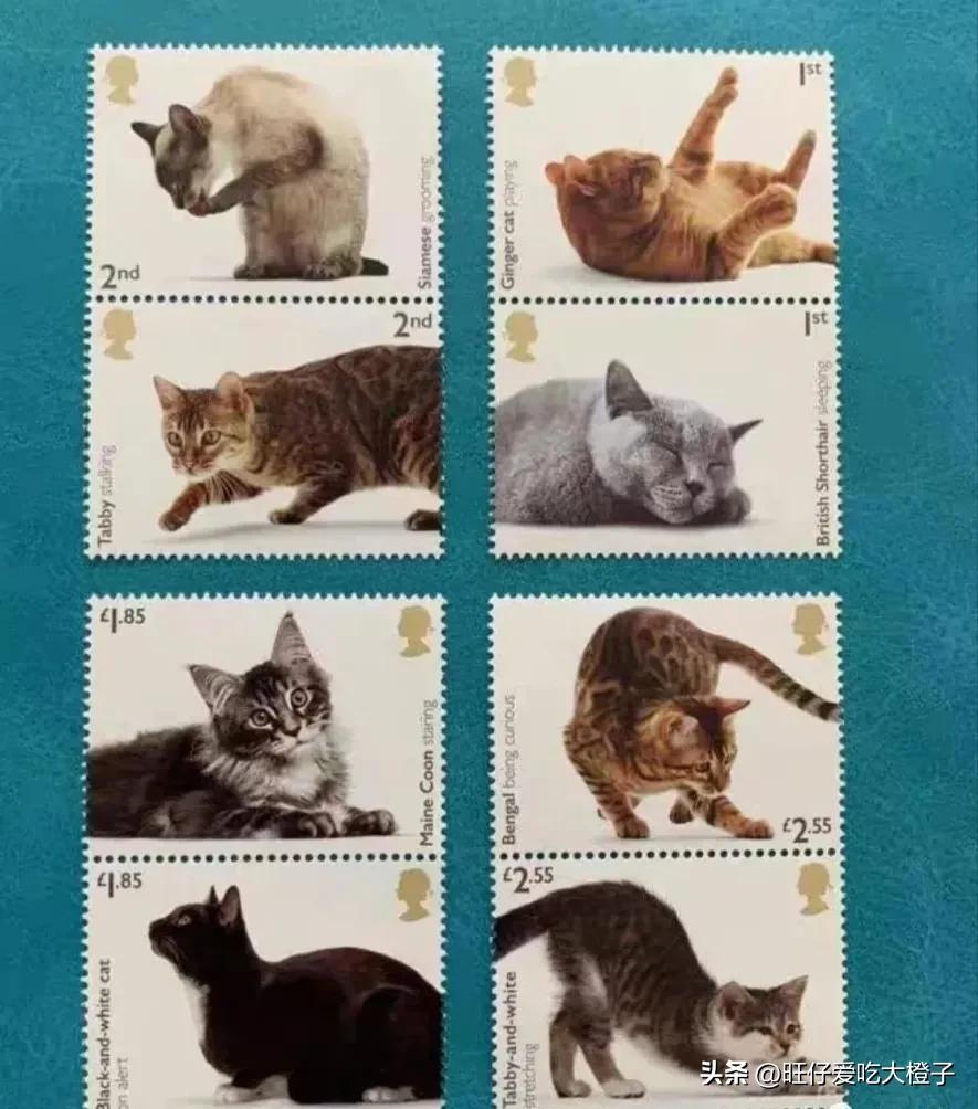 中国邮票回忆,邮票峥嵘岁月