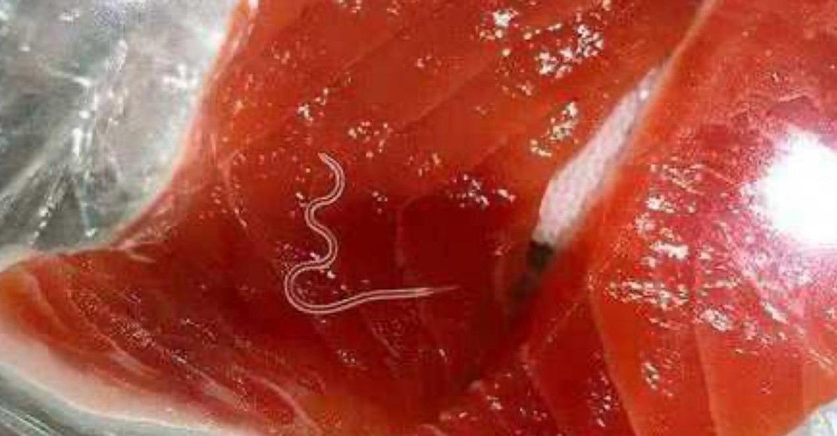 蠕虫杀死癌细胞,日本蠕虫癌细胞