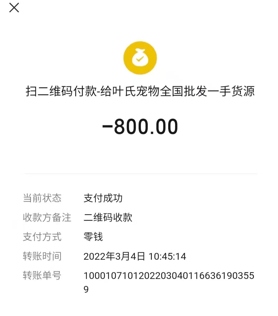 揭秘黑心宠物店卖的猫狗都不长命,曝光卖狗无良商家