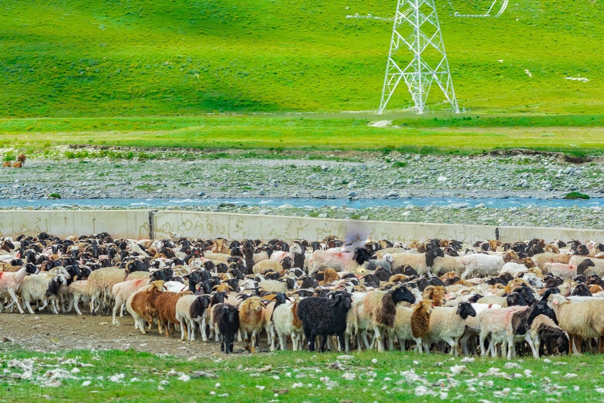 麦趣尔牛奶查出什么,麦趣尔牛奶2022.6.20批次的合格吗