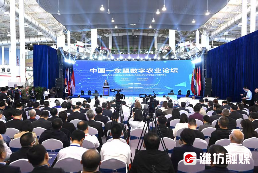 潍观|让“更好潍坊”气象万千——潍坊农业交出高分答卷