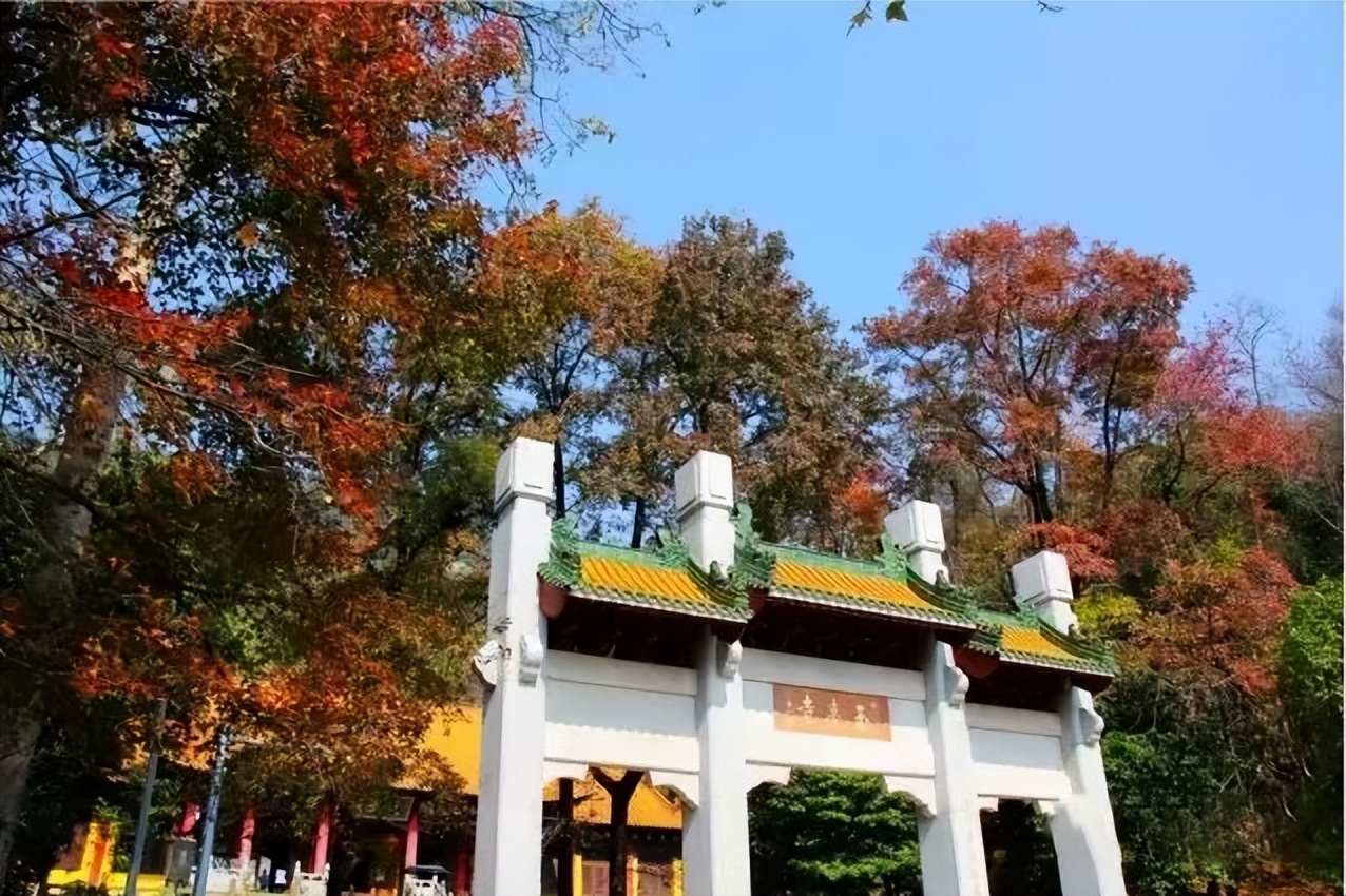 广州台山市二日游,台山川山群岛一日游