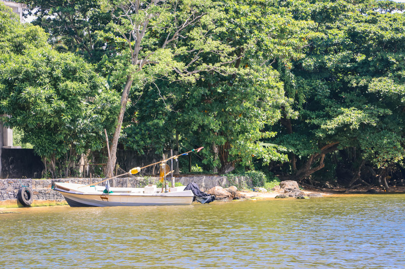斯里兰卡旅游攻略必去景点,斯里兰卡旅游攻略最佳时间