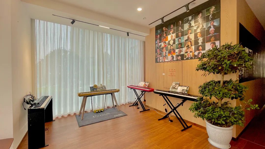 卡西欧便携电钢琴实用型,卡西欧专业便携式电钢琴