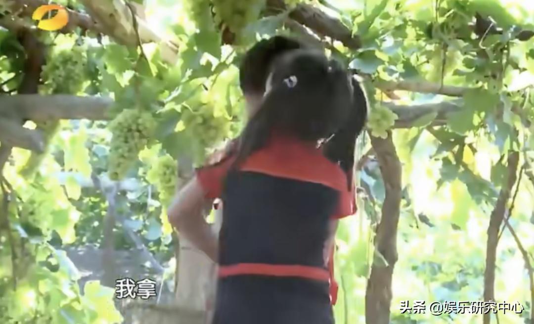 你敢信？七年前的老综现在称霸内娱