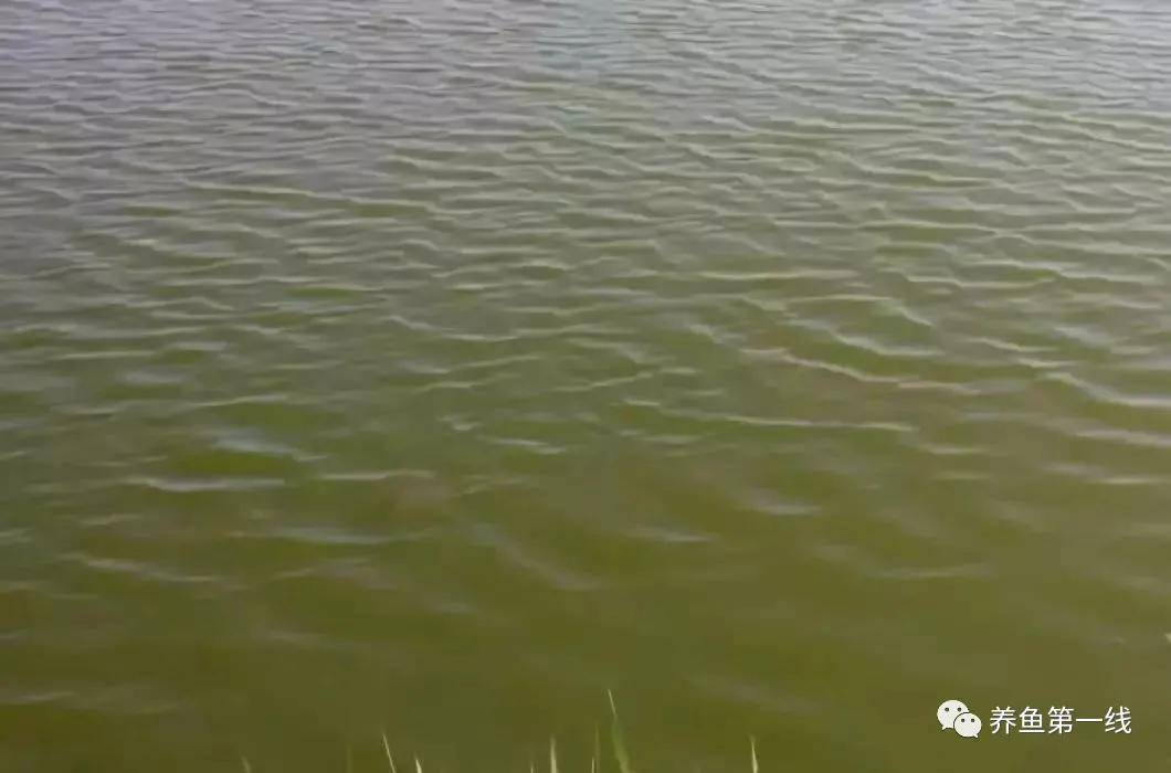 提高水体溶氧量的方法,水体溶氧的正确使用方法