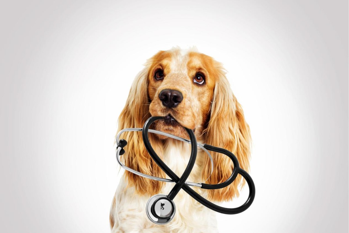 盘点6种不可思议的“异食癖”,盘点十种奇怪的异食癖