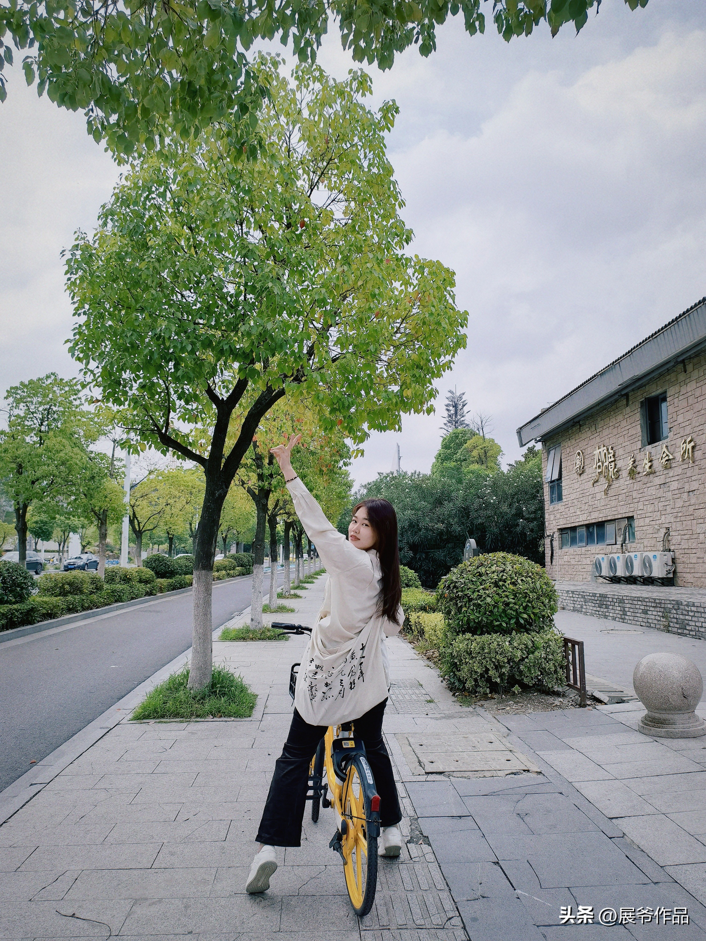 展爷：大学有梧桐谁是真凤凰