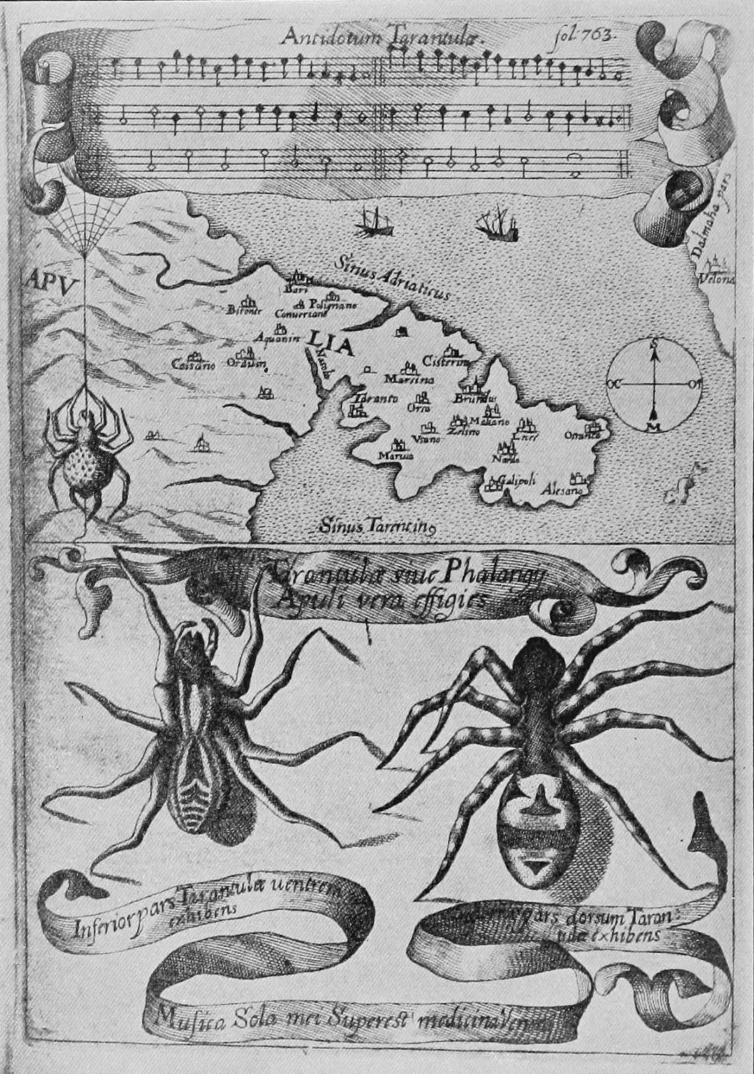 世界都有哪些神奇的动物??「坤舆全图」告诉你