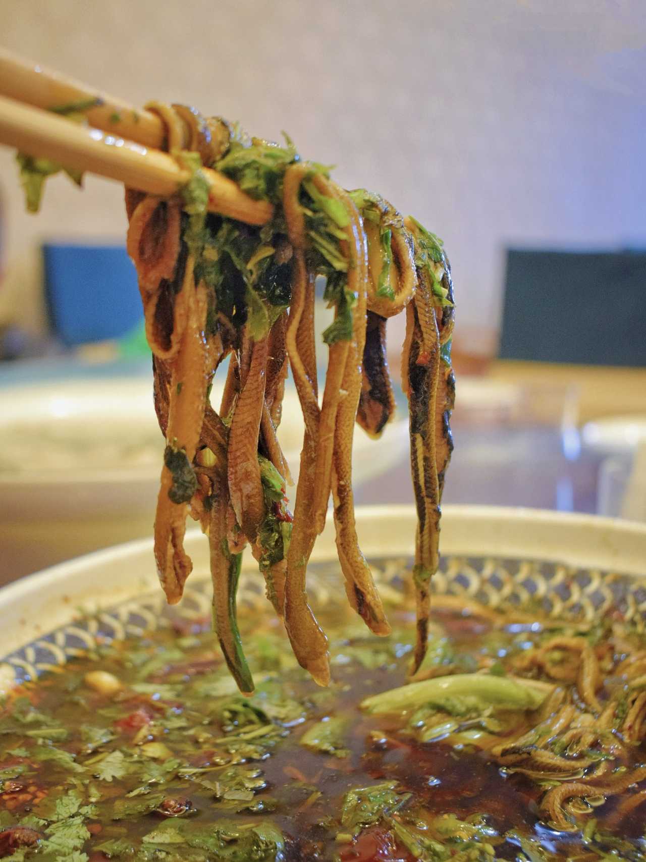 乐山异国风情打卡新去处,乐山游玩攻略及人文风情