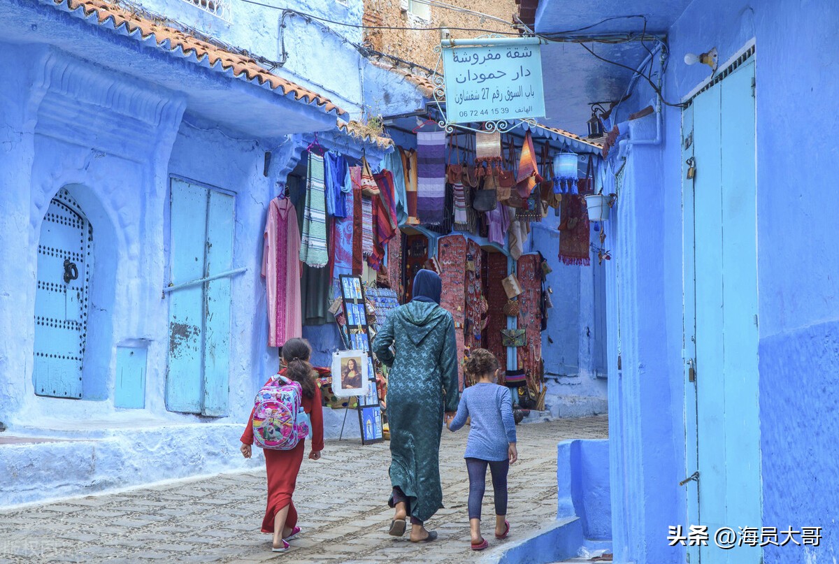 运输偷渡客行政处罚二万元,运输偷渡人员违法所得40万处罚金