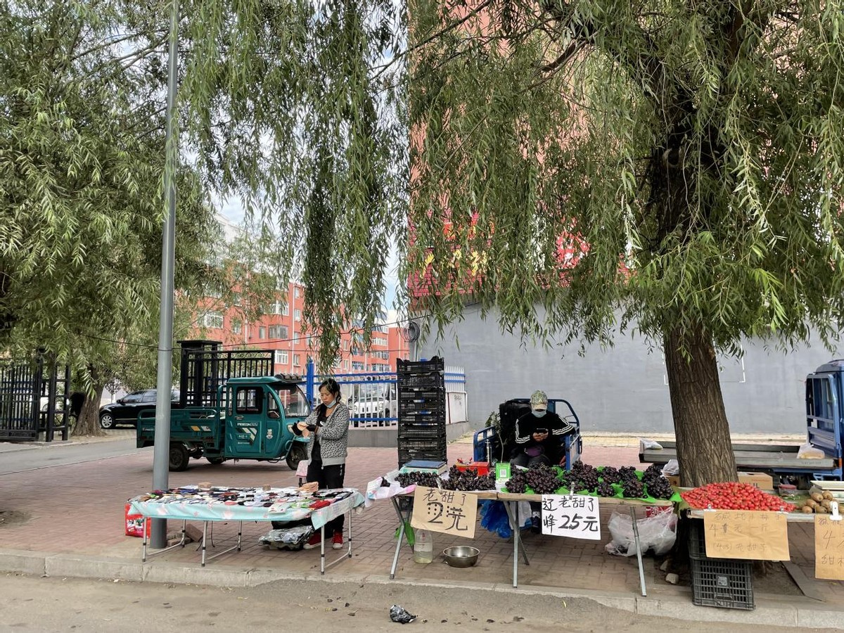 逃离鹤岗的买房者去了哪里,逃离鹤岗定居阜新