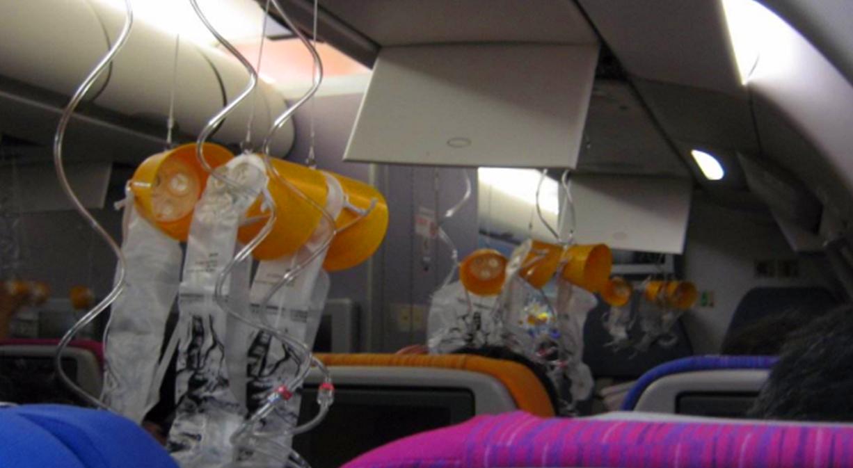 给小宠物戴氧气面罩,为什么大部分宠物都不能带进机舱