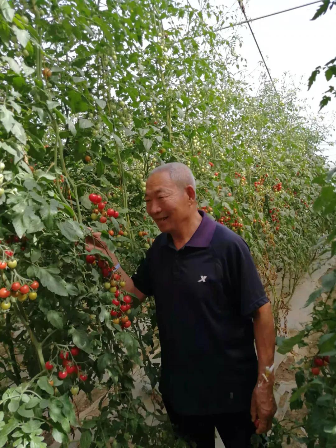 左顺孝作品,左顺孝