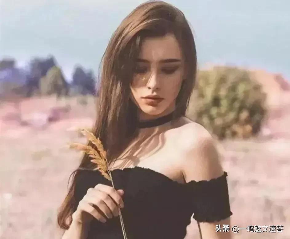 荷兰阿姆斯特丹的特色是什么,荷兰阿姆斯特丹特色行业