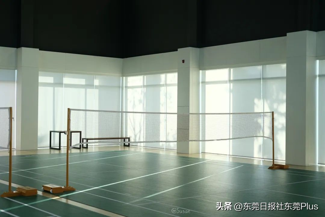 东莞可以看海和赏花的公园,东莞国庆看海游玩推荐