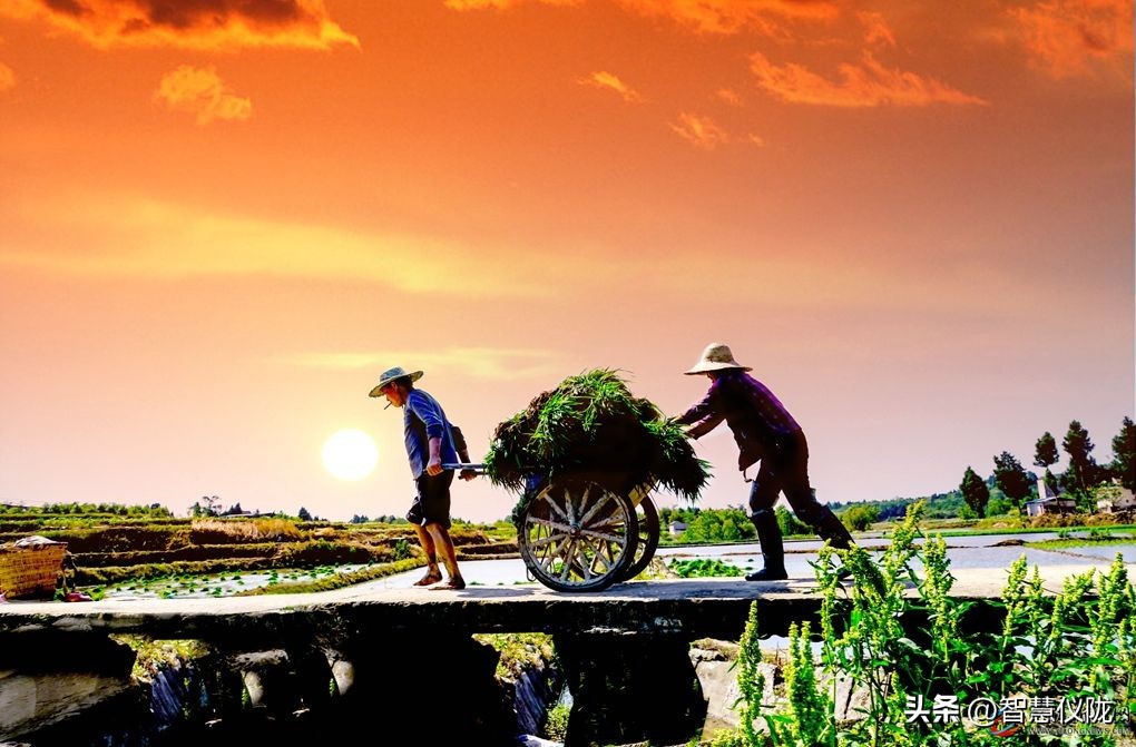 泰酷辣给人一种什么感觉,泰酷辣火了吗