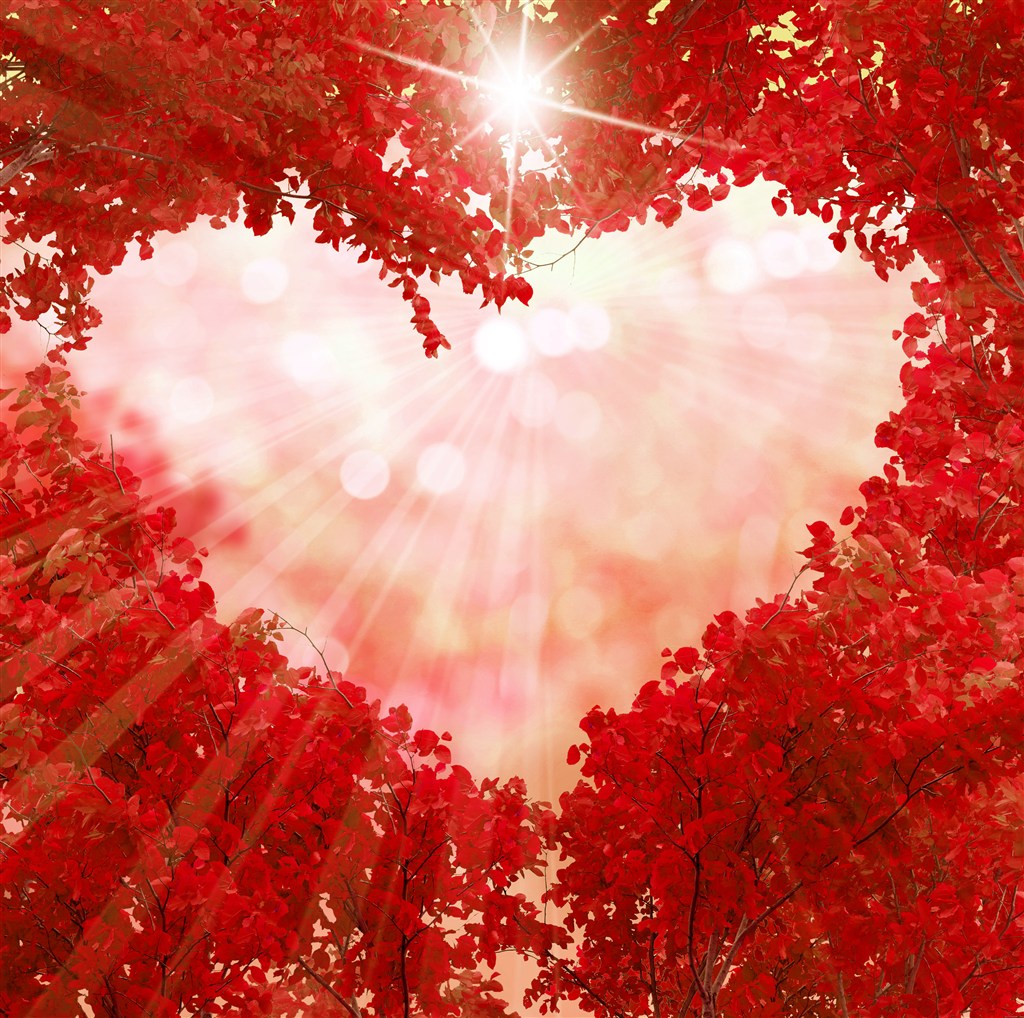 心形满天星壁纸,心形壁纸风景治愈