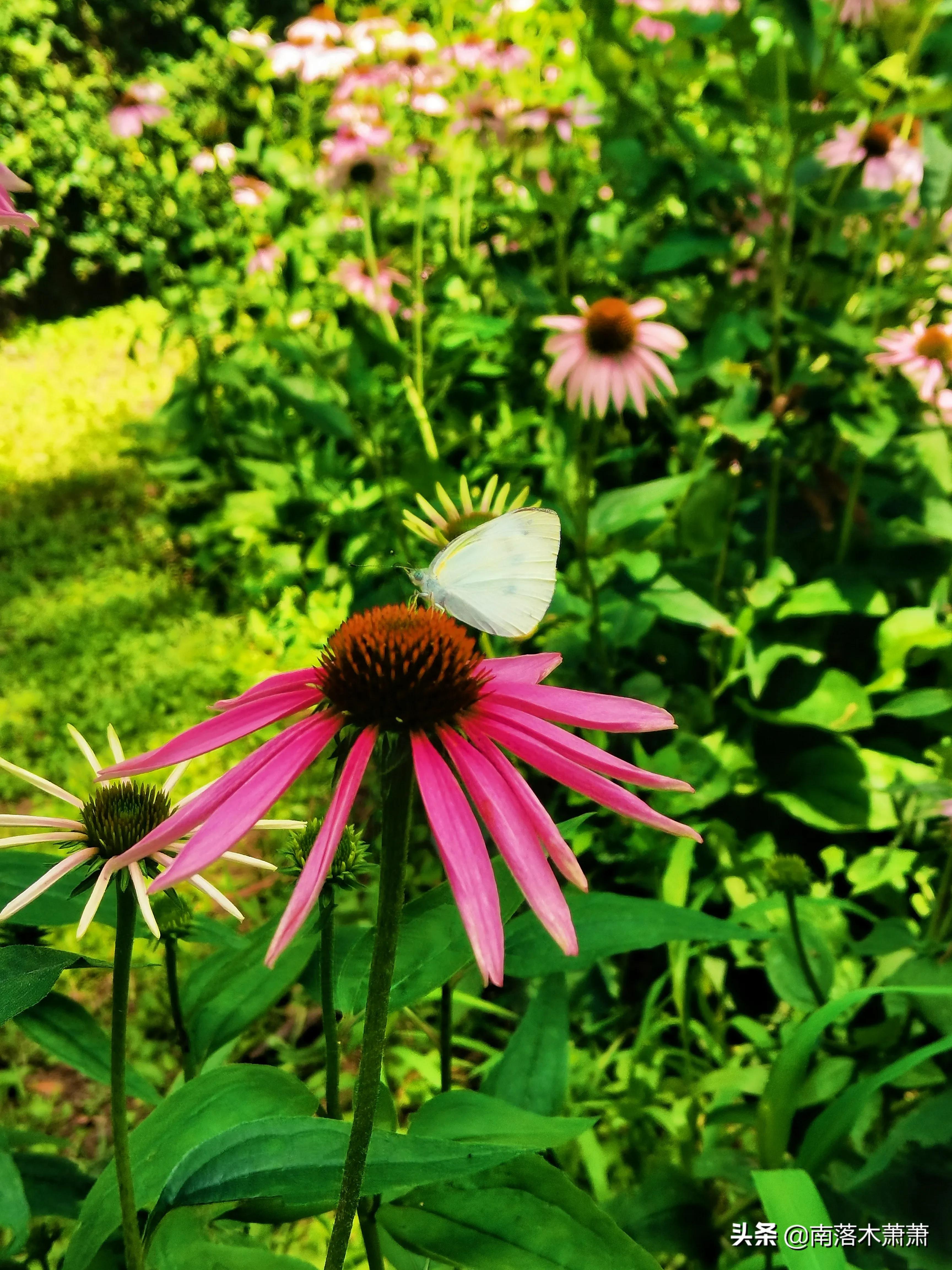 沈阳皇姑新乐遗址,参观沈阳新乐遗址博物馆