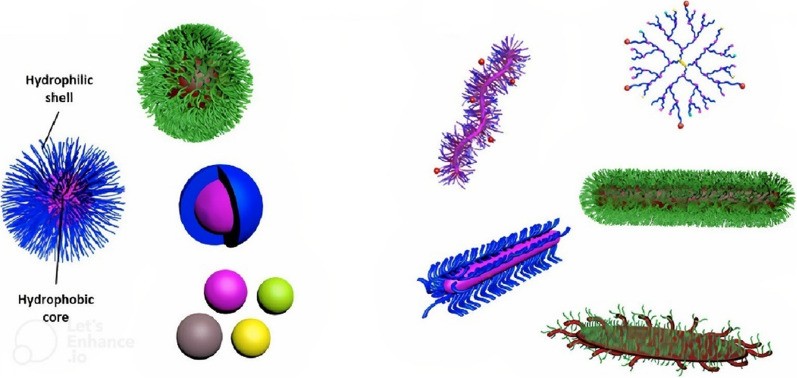 细菌进化后的抗生素,细菌进化变异