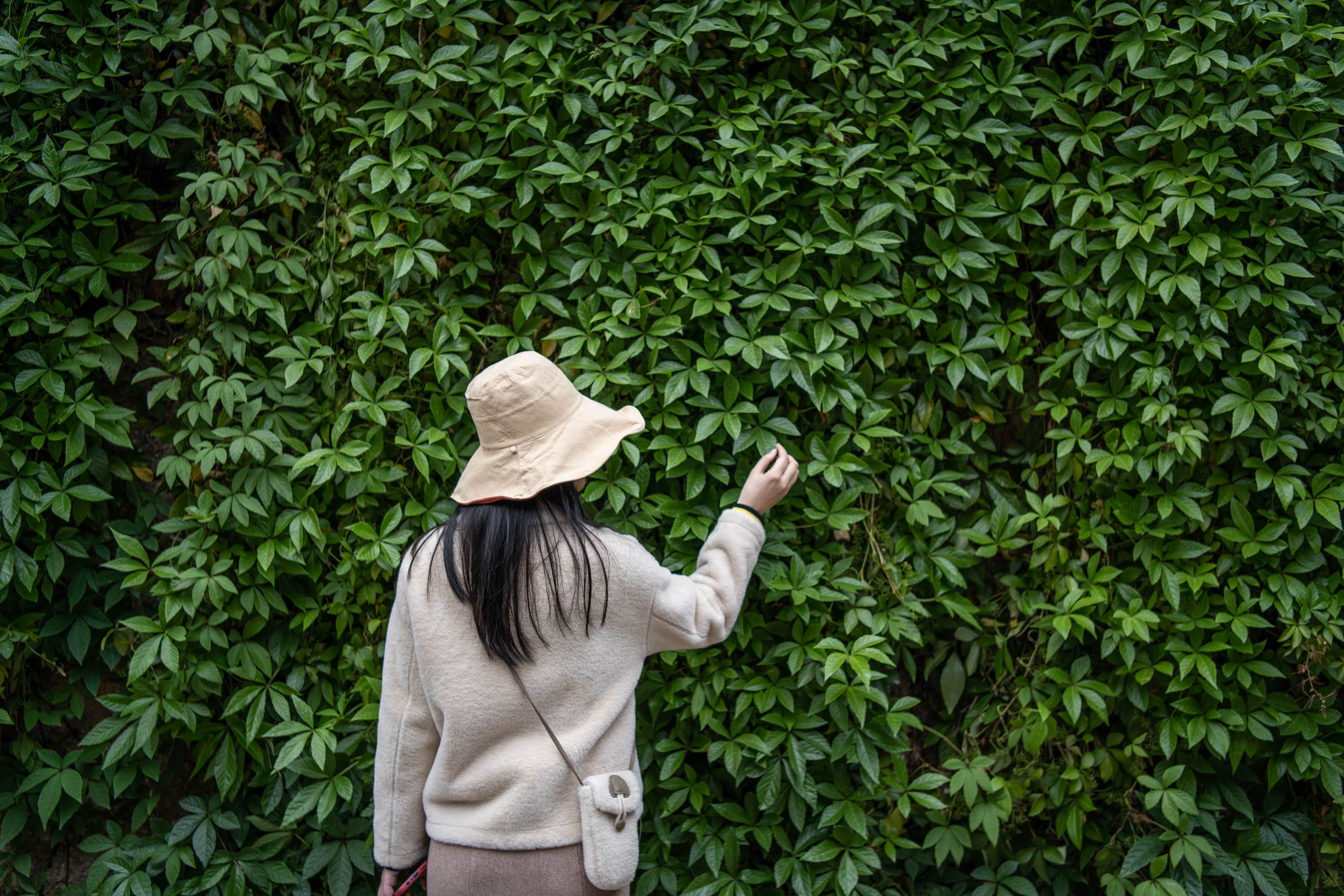 去云南跟团一日游攻略图片大全集,云南跟团六日游攻略大全图片