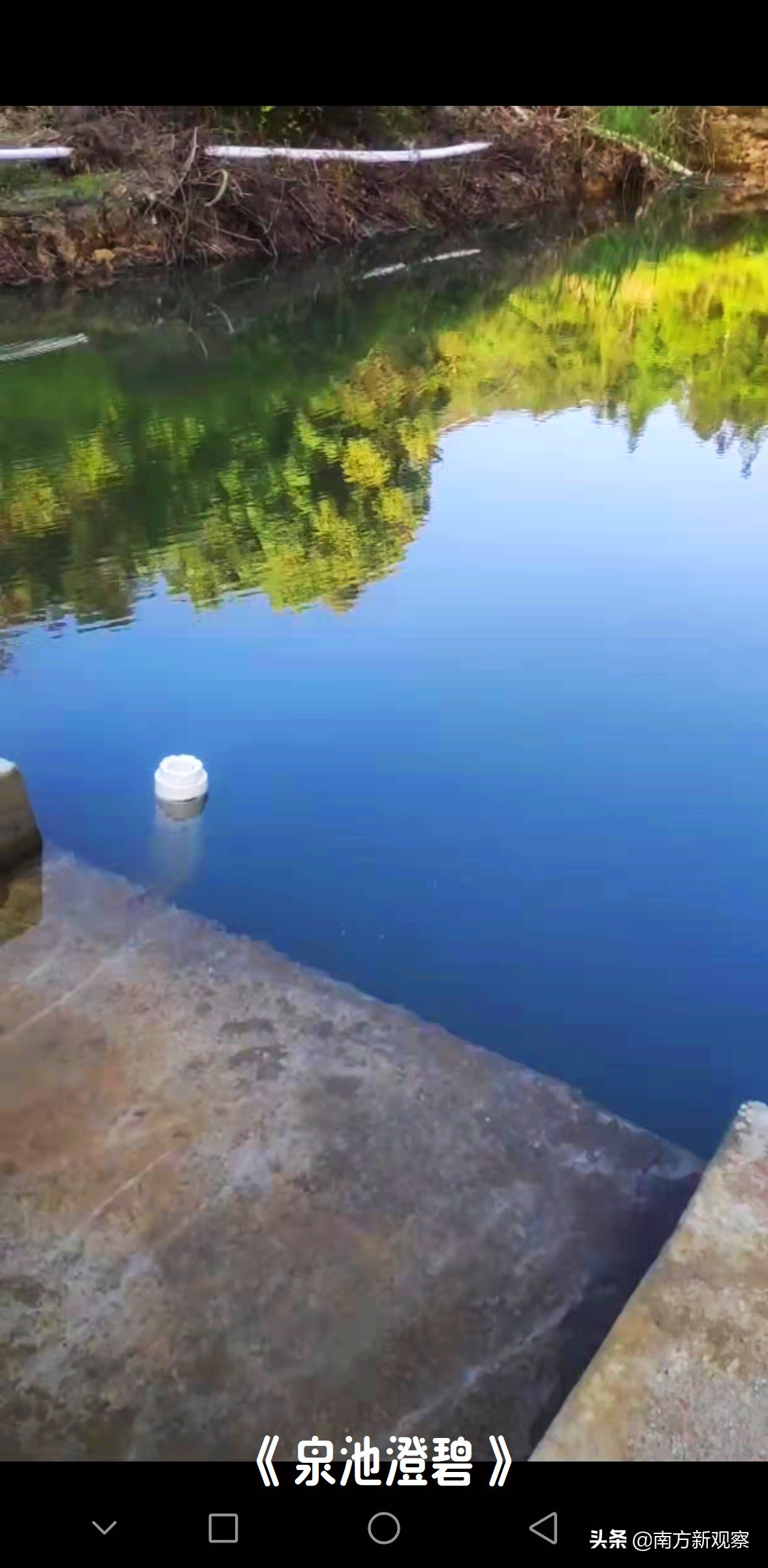 陈日光作品,陈日光