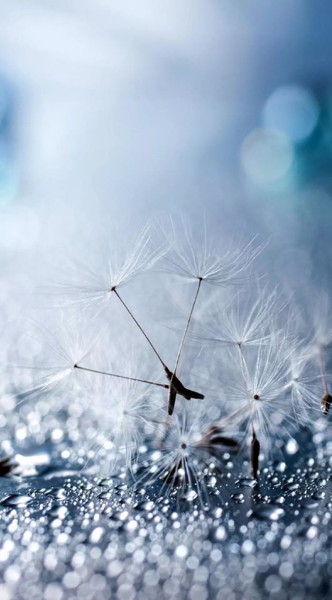 散文简单活着就是人生的精致,散文人心简单了就幸福