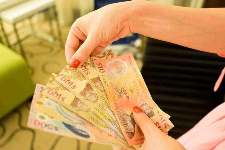 文莱是一个什么国家,文莱是怎样一个国家