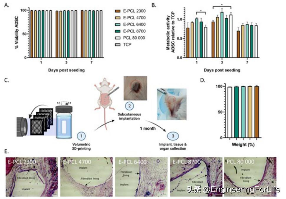 过继性细胞免疫疗法,过继性免疫细胞疗法
