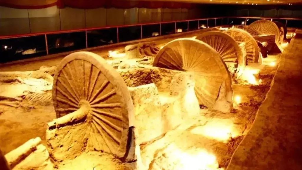 齐乐游|半价，免费！暑假结束前，最不能错过的目的地！边玩边收心