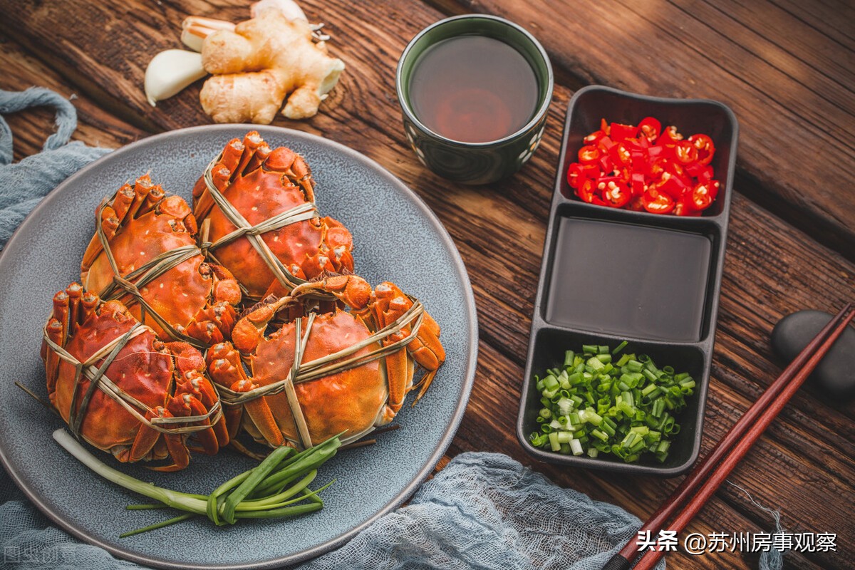 苏州工业与经济的发展,苏州工业园区发展变迁对比文章