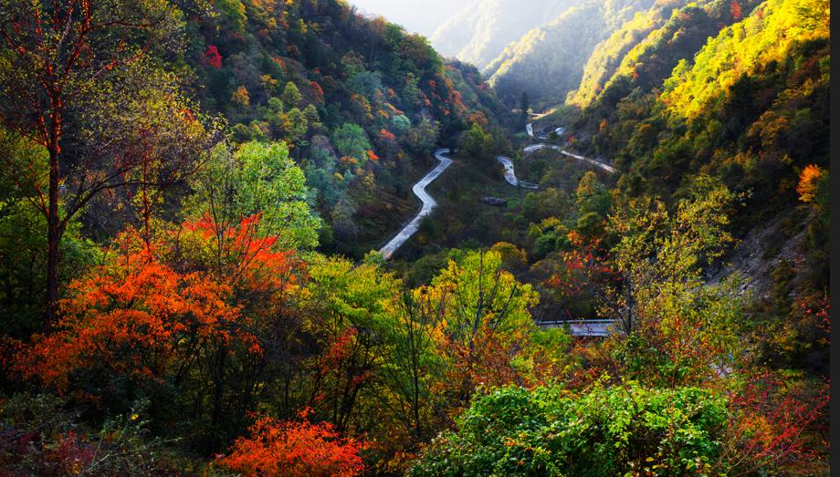 关于春天的古诗1000首,春天桃花古诗大全100首