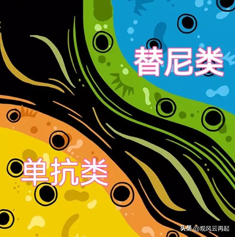 替尼类药物和单抗类药物的区别,替尼单抗