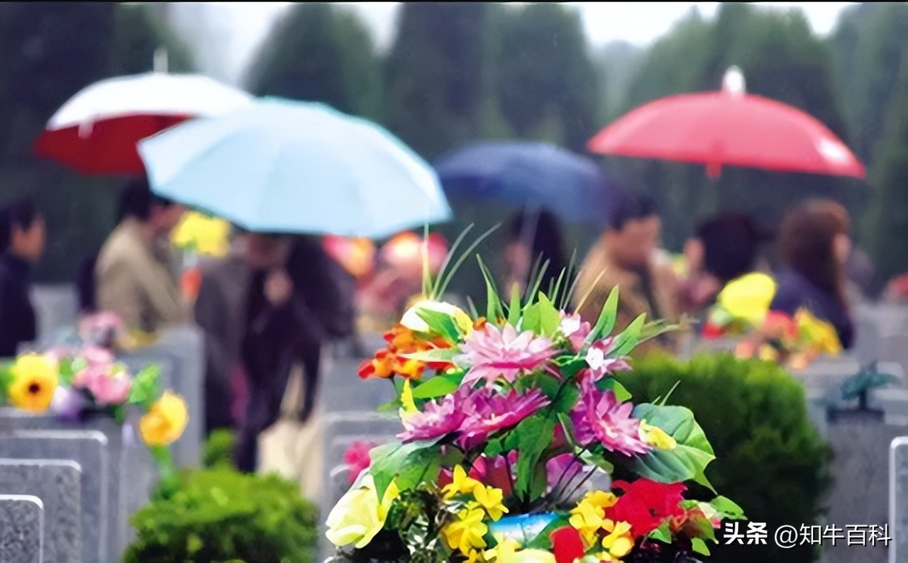 清明扫墓后上坟有什么讲究,清明上坟提前去还是当天