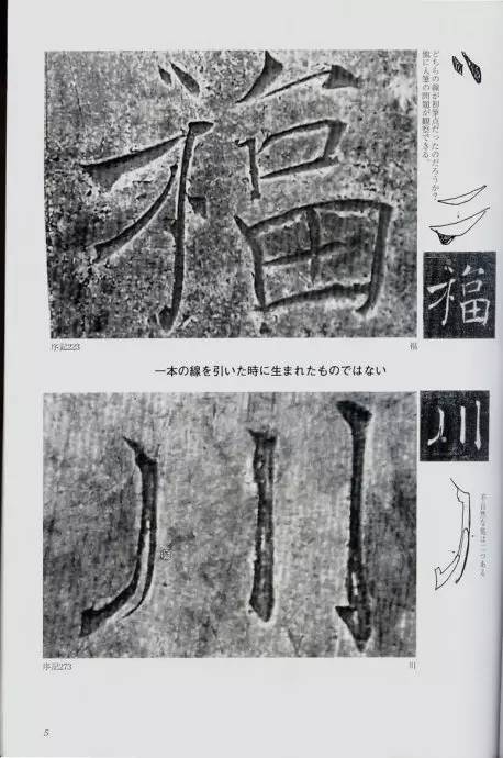 宸ョ瑪鐢绘潹鏅箟鐢诲唽,鏉滈箖鏉ㄦ櫘涔夊畬鏁寸増