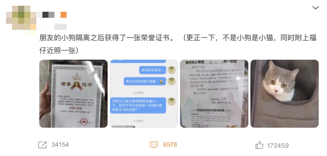 疫情宠物被无害化处理怎么办,无害化处理宠物狗