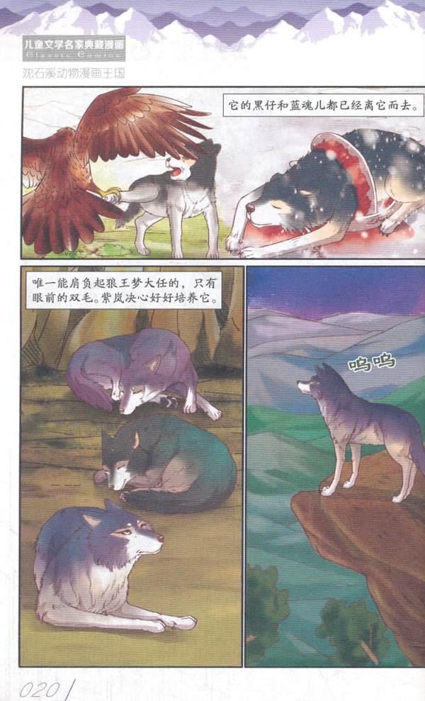 狼王梦哪些表现出母爱,关于狼王梦母爱的经典名句