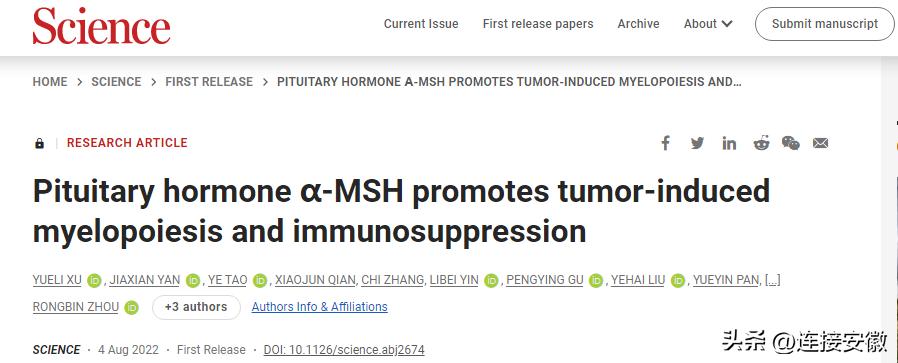 中国医学科学院治疗恶性肿瘤,中国科研免疫细胞治疗未来的发展